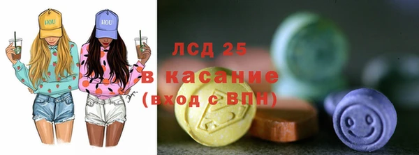 прущий лед Алзамай
