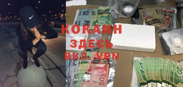 прущий лед Алзамай