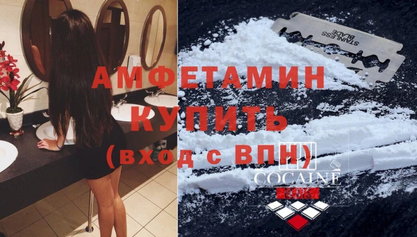 трава Сатка