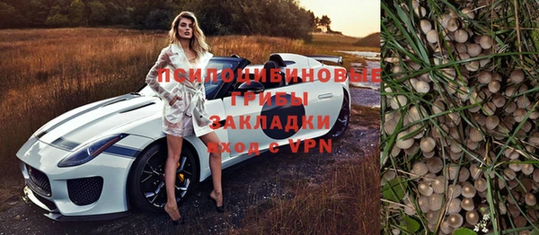 a pvp Абдулино