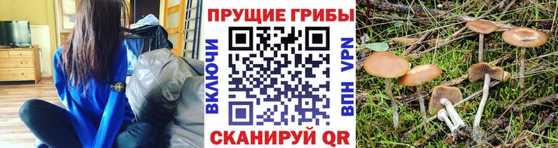 магазин продажи   Алексеевка  Псилоцибиновые грибы мухоморы 