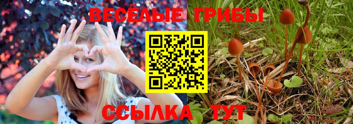 Галлюциногенные грибы MAGIC MUSHROOMS  Вход с VPN  Алексеевка 