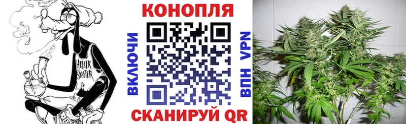 купить наркотики цена  Алексеевка  Шишки марихуана LSD WEED 
